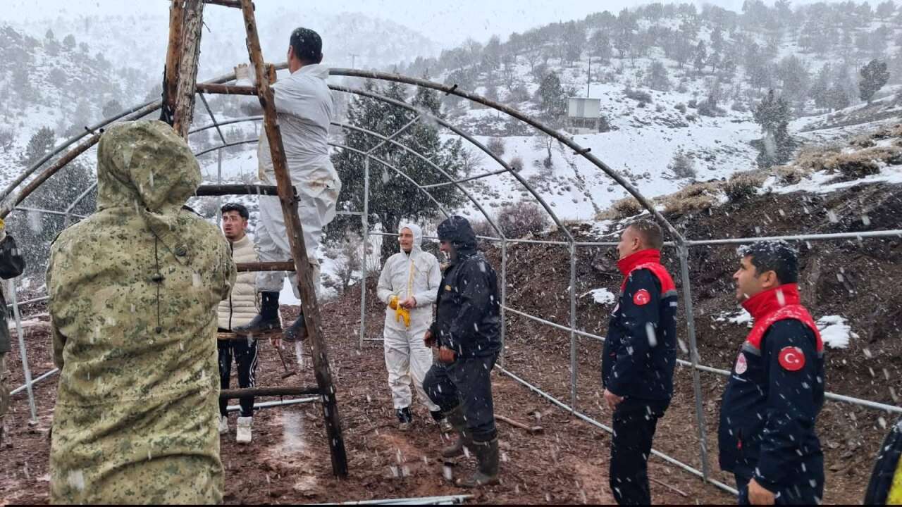 Konya’da ahır çöktü! Çok sayıda hayvan telef oldu 10